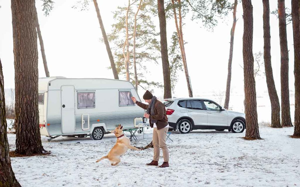 Viajar en autocaravana con mascotas