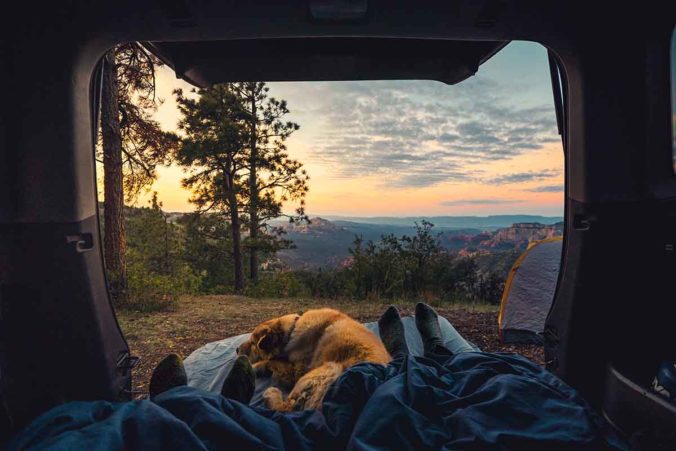 Viajar en autocaravana con mascotas