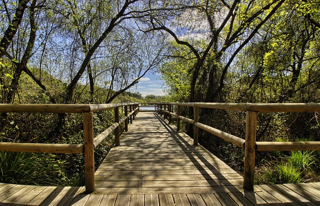 Viajar al Parque Nacional de Doñana en autocaravana
