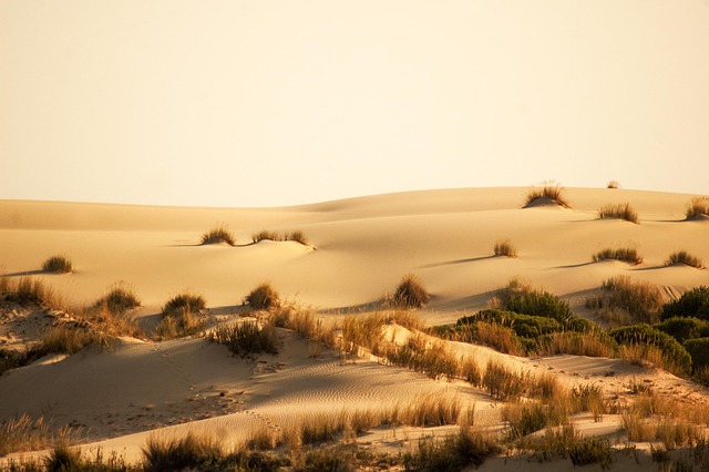 Viajar al Parque Nacional de Doñana en autocaravana